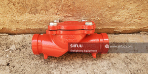 Grooved Swing Check Valve