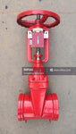 OS&Y Gate Valve With Tamper Switch, Groove Connection, 2" to 12"