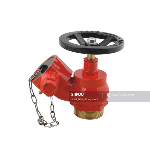 2.5" Landing Valve With BS336 Adaptor