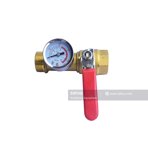 Test & Drain Valve Valve-Brass